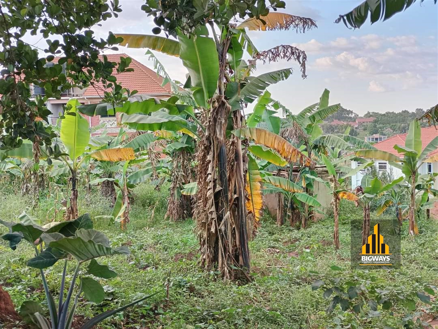 Residential Land for sale in Najjera Wakiso