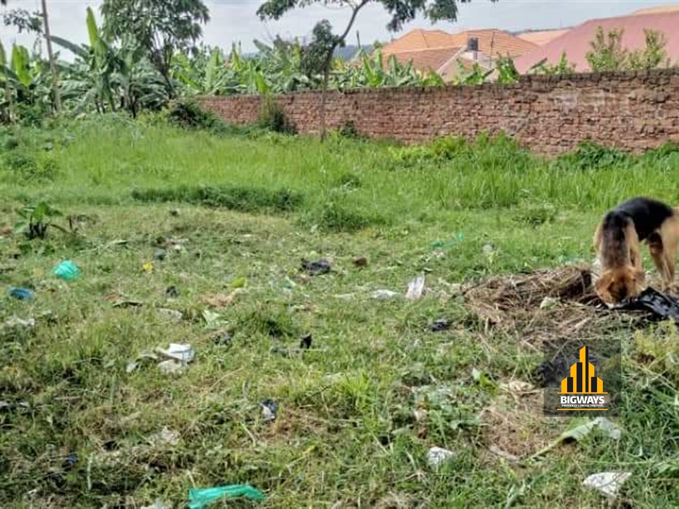 Residential Land for sale in Kyaliwajjala Wakiso