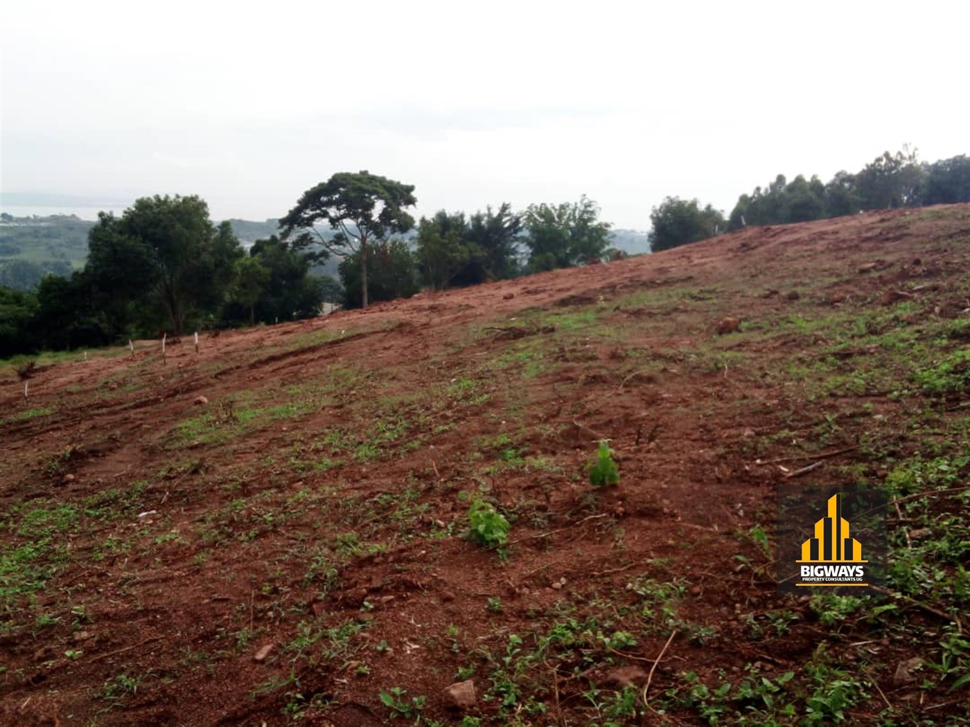 Residential Land for sale in Bwebajja Wakiso