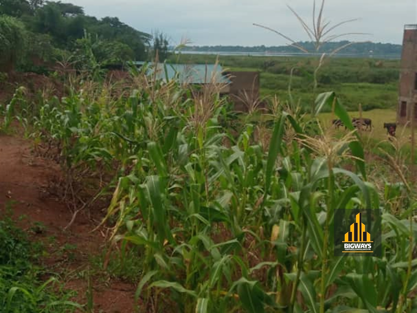 Residential Land for sale in Katabi Wakiso