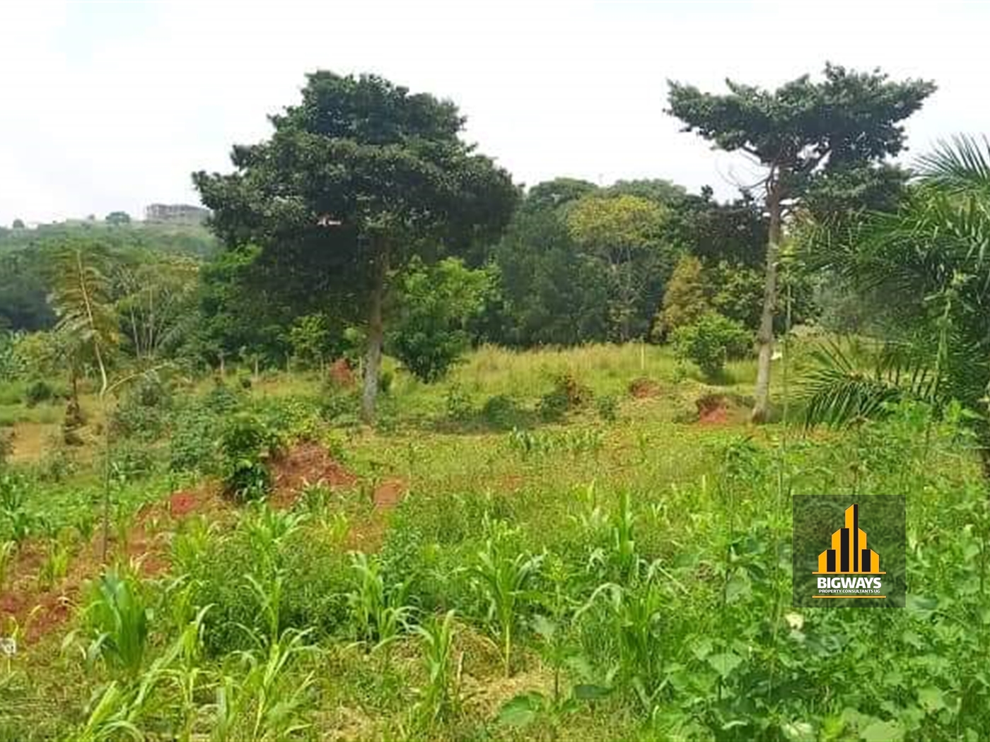 Residential Land for sale in Kigo Wakiso