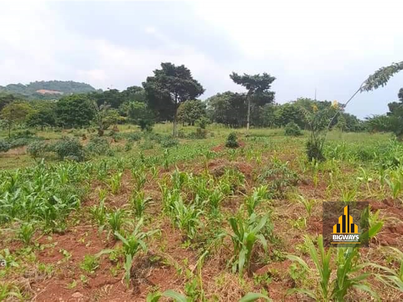 Residential Land for sale in Kigo Wakiso