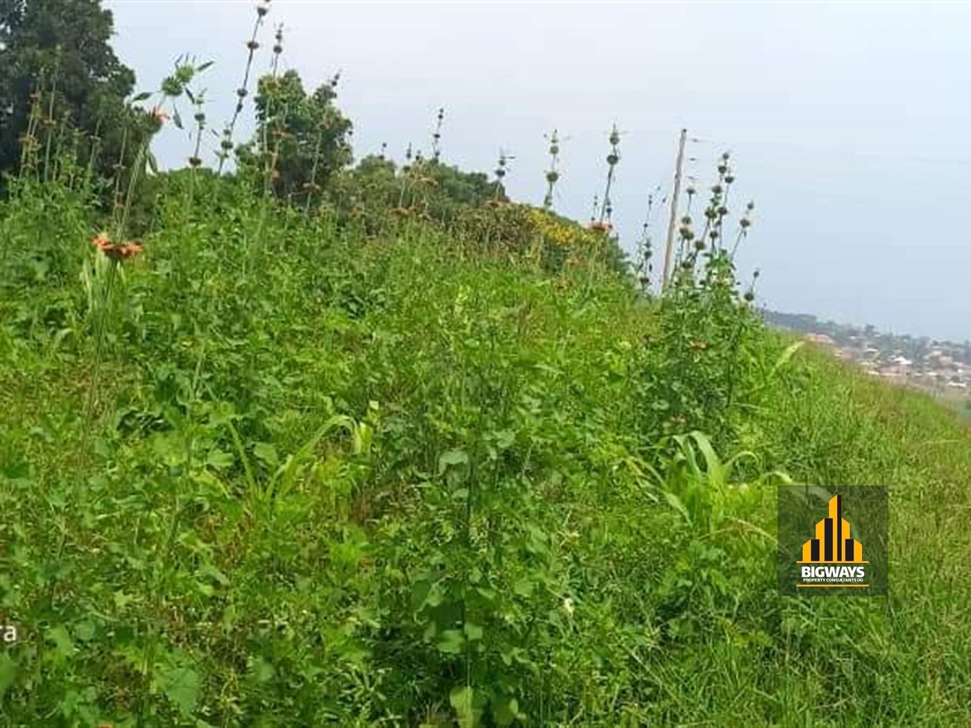 Residential Land for sale in Kigo Wakiso