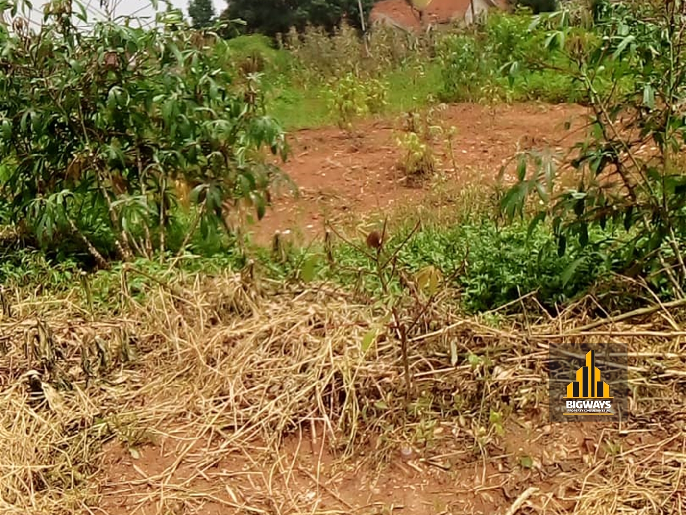 Residential Land for sale in Kiwaatule Kampala