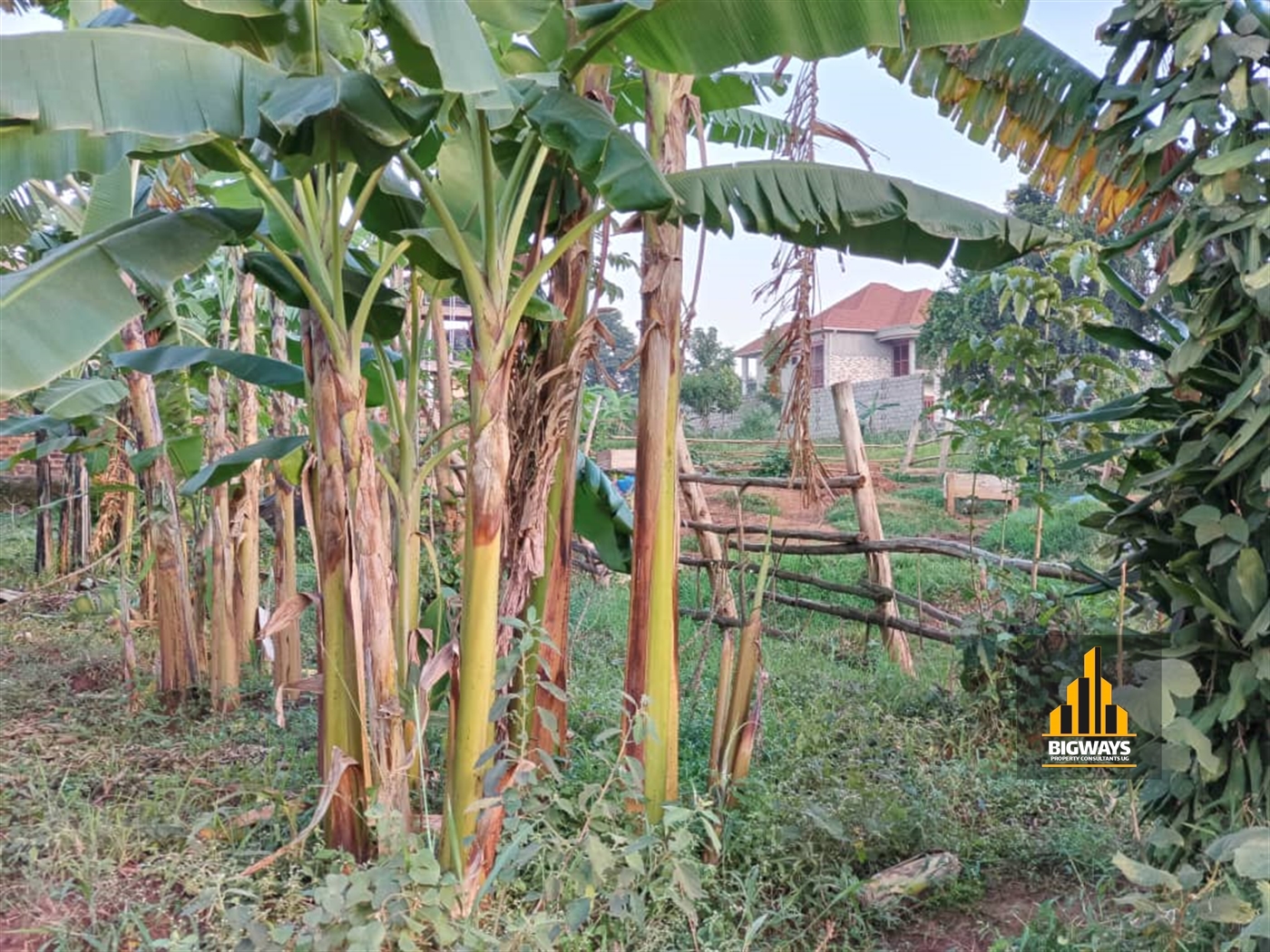 Residential Land for sale in Kungu Wakiso