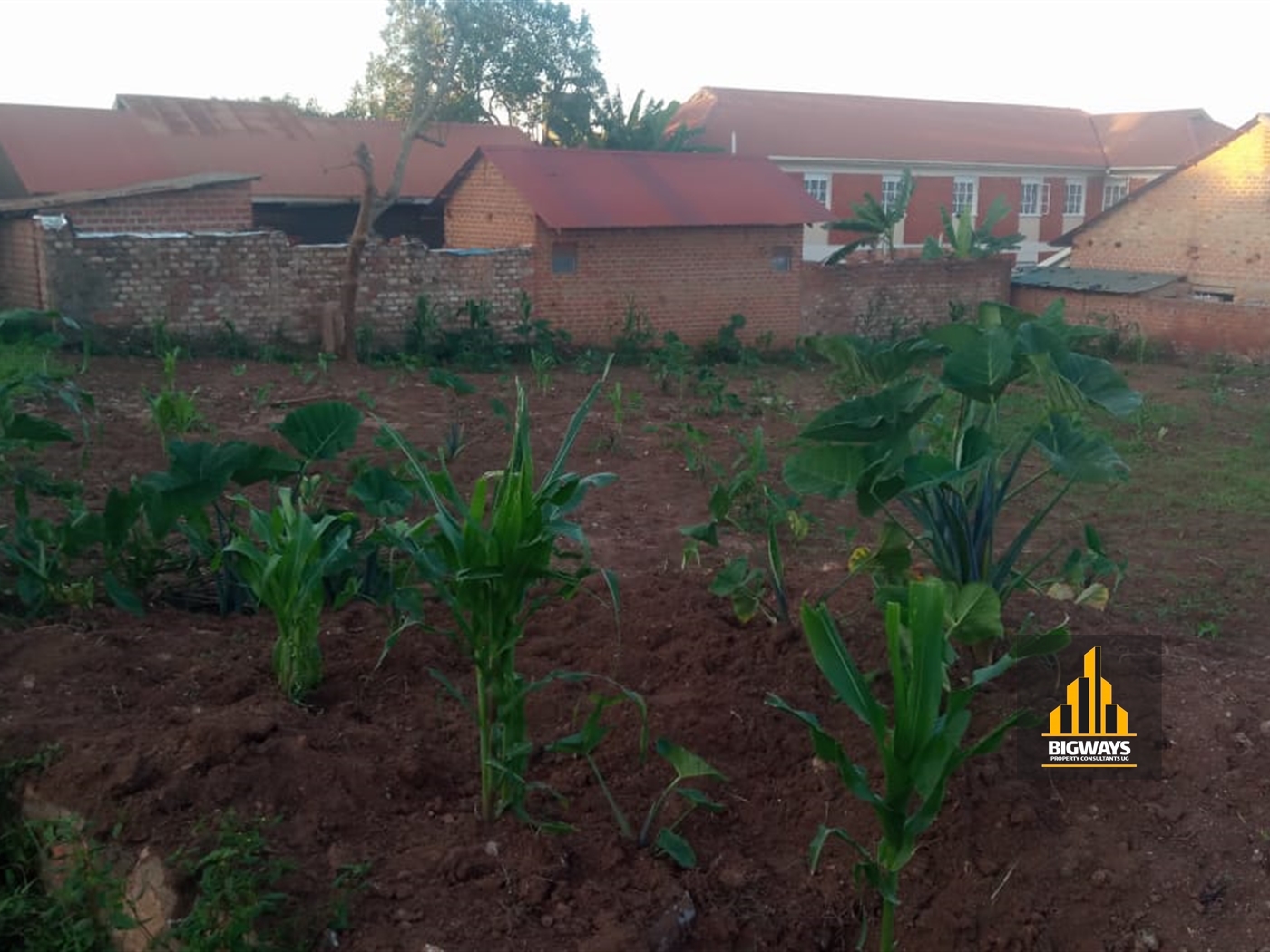 Residential Land for sale in Nkumba Wakiso