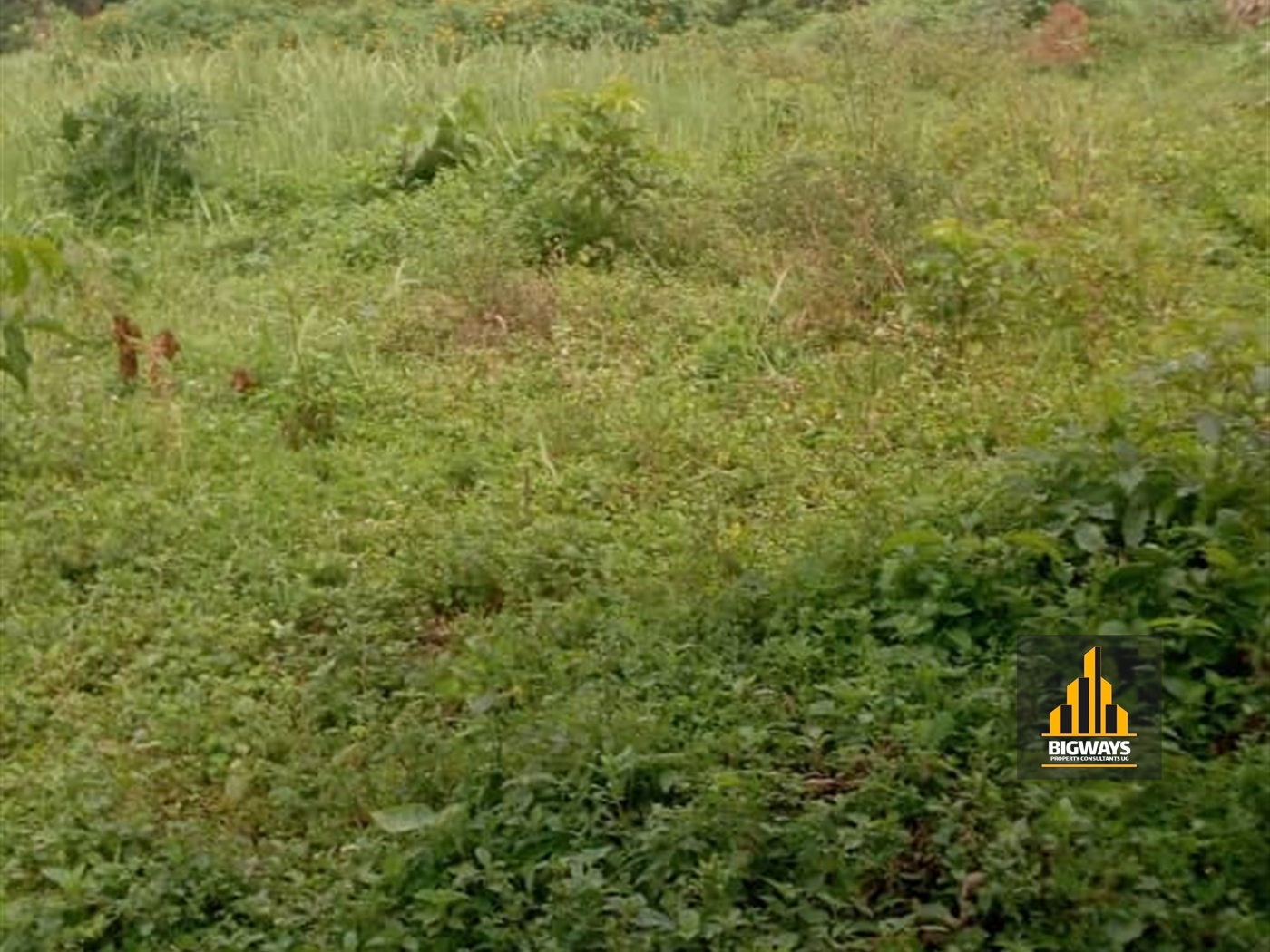 Residential Land for sale in Ssisa Wakiso