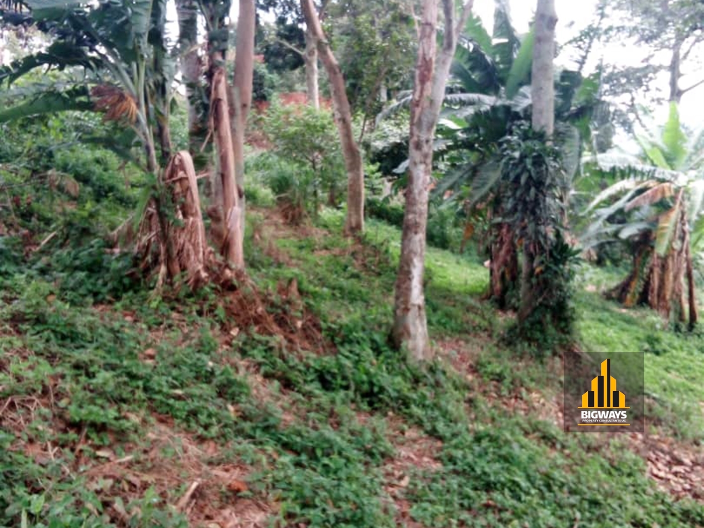 Residential Land for sale in Kawuku Wakiso