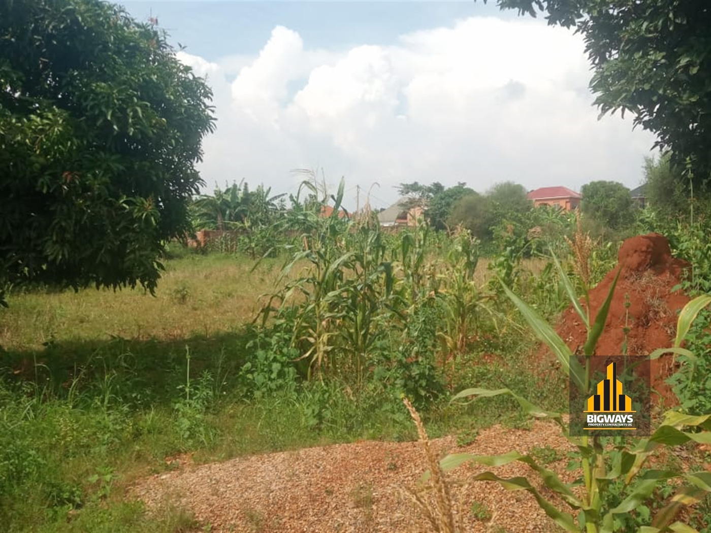 Residential Land for sale in Nkumba Wakiso