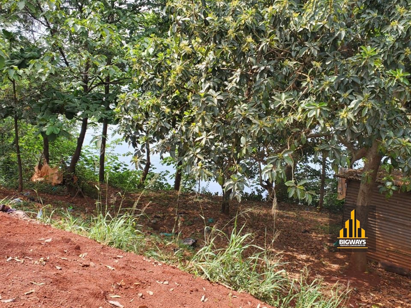 Residential Land for sale in Masese Jinja