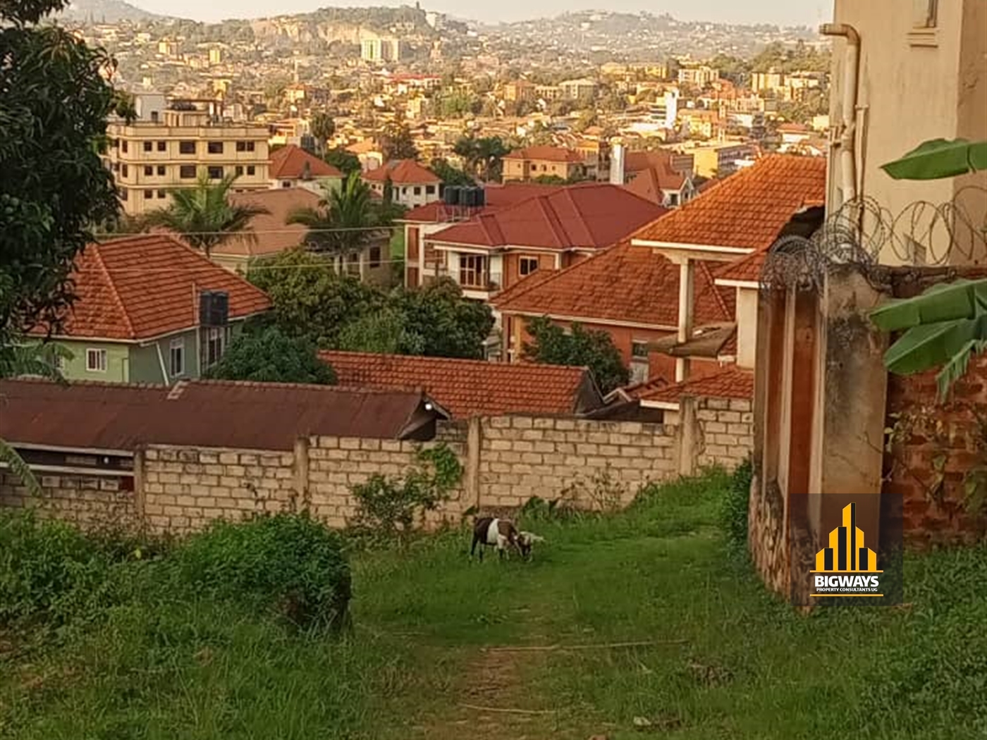 Residential Land for sale in Buziga Kampala