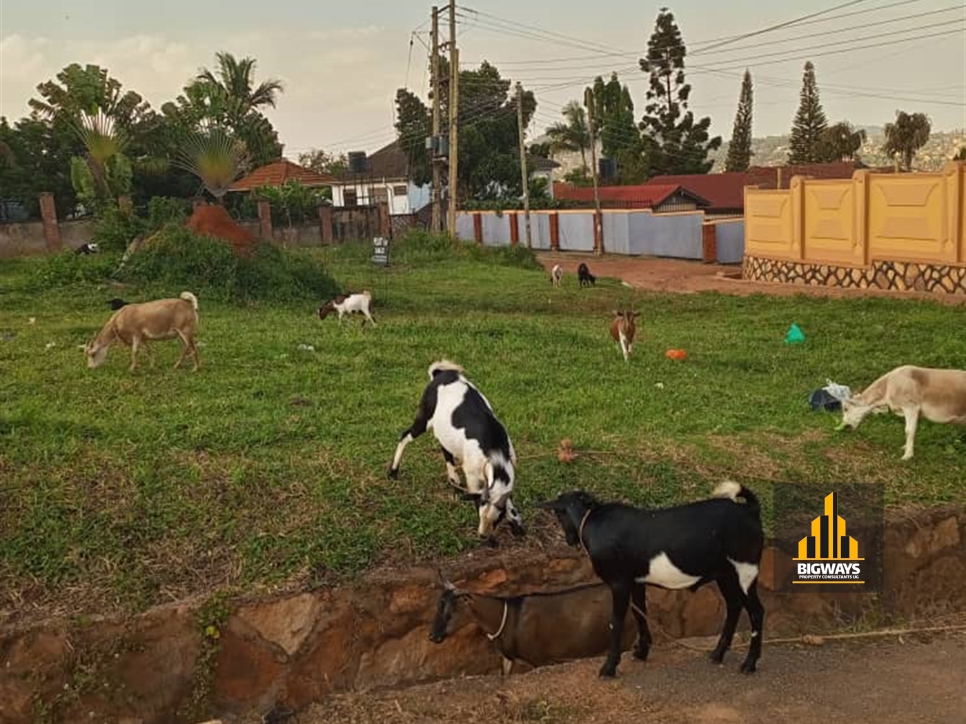 Residential Land for sale in Buziga Kampala