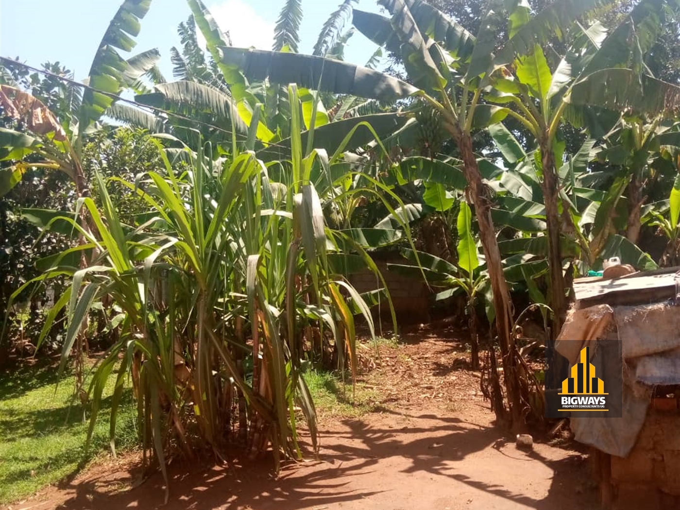 Residential Land for sale in Nkumba Wakiso