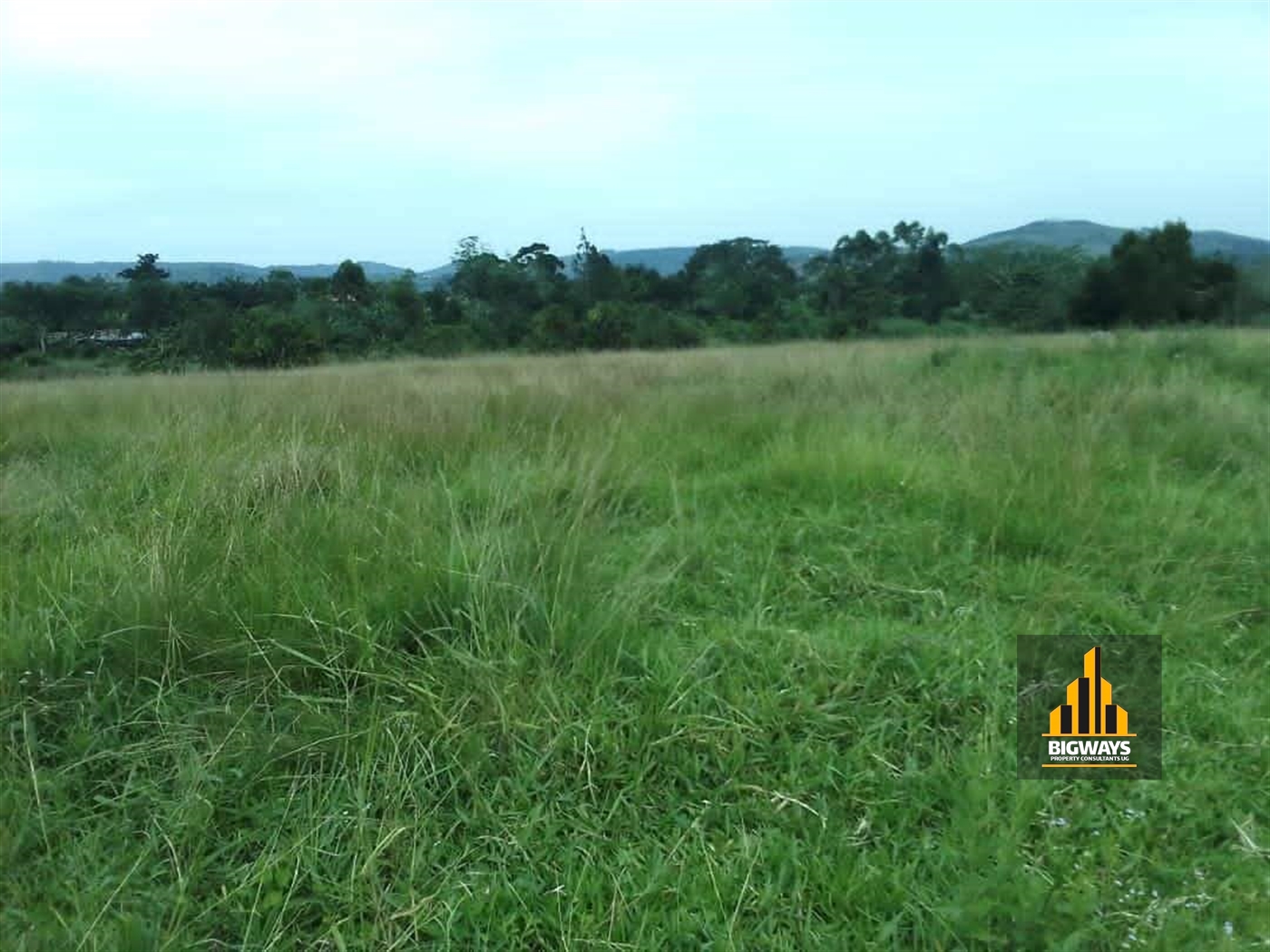 Farm for sale in Kikonge Mityana