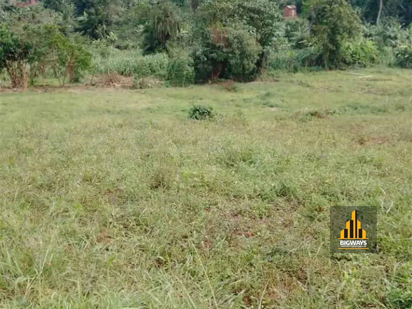 Agricultural Land for sale in Butende Iganga