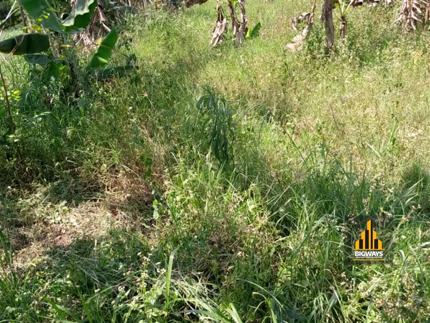 Residential Land for sale in Kiwenda Wakiso