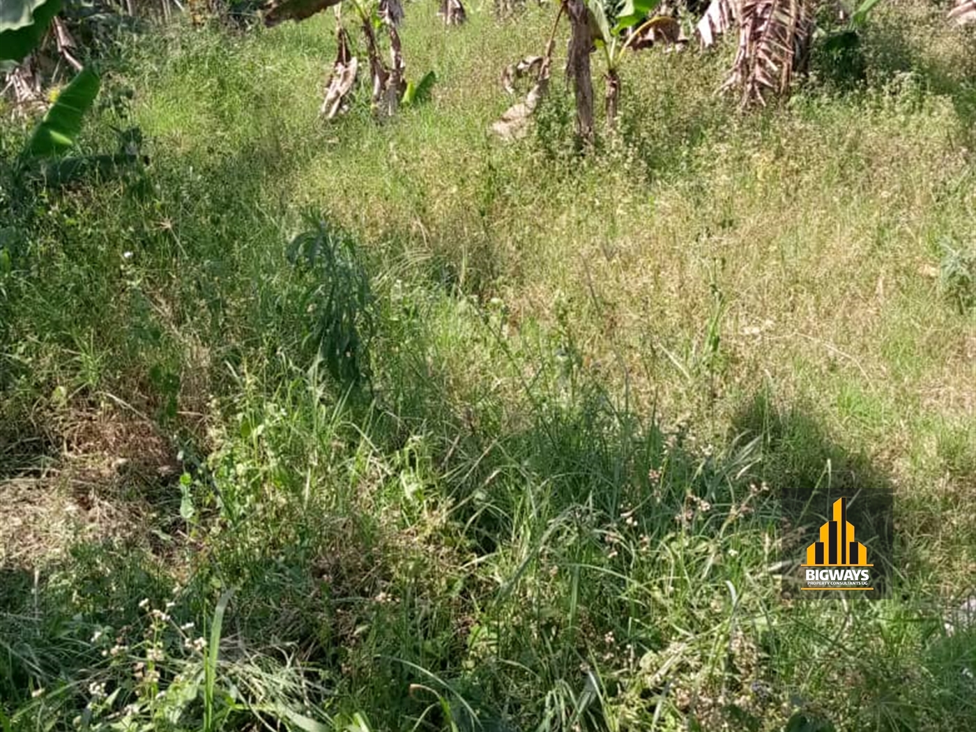 Residential Land for sale in Kiwenda Wakiso