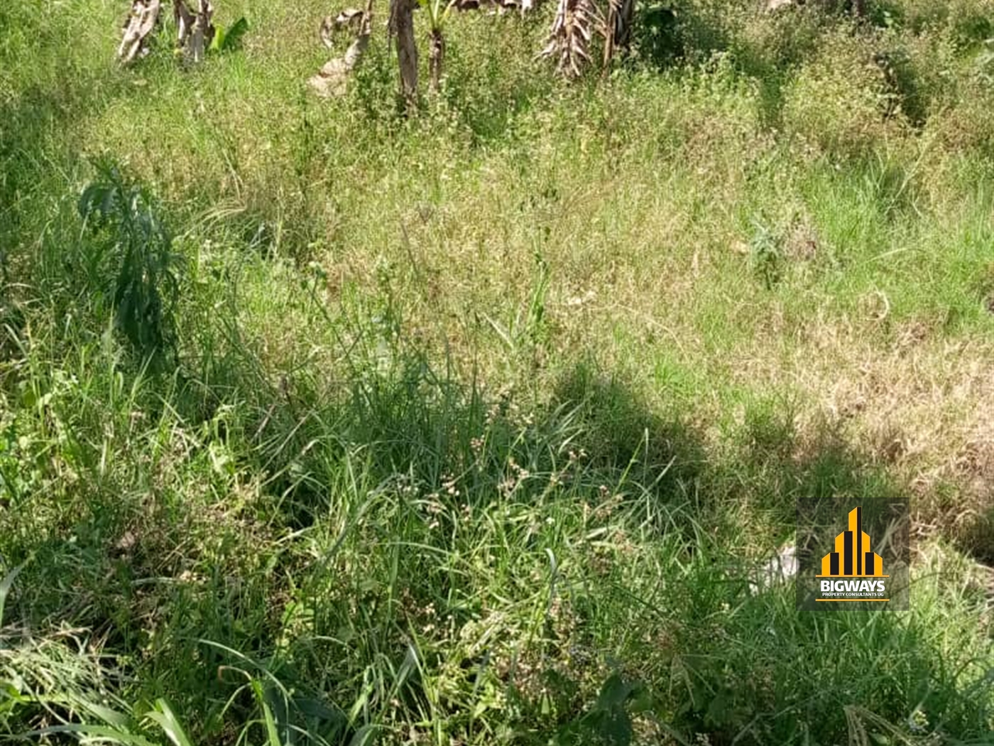 Residential Land for sale in Kiwenda Wakiso