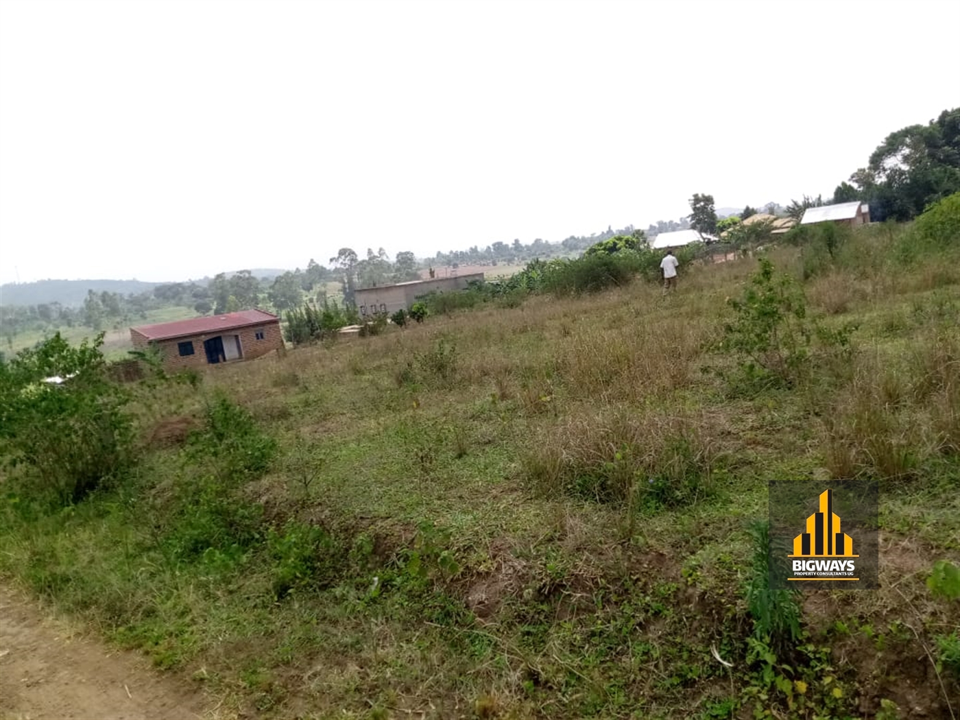 Residential Land for sale in Kiwenda Wakiso