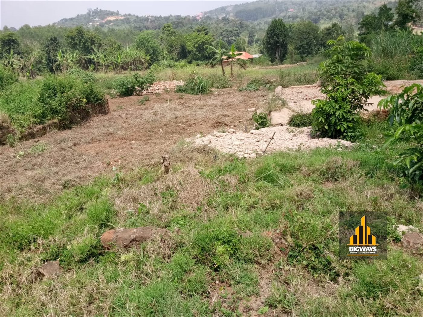 Residential Land for sale in Kiwenda Wakiso