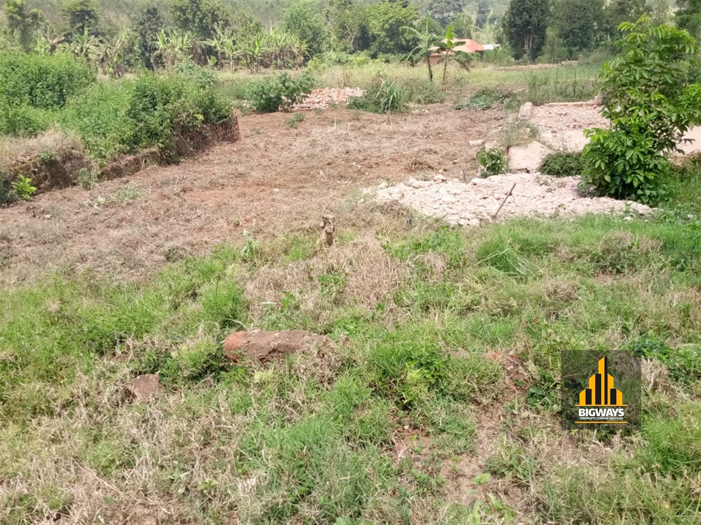 Residential Land for sale in Kiwenda Wakiso