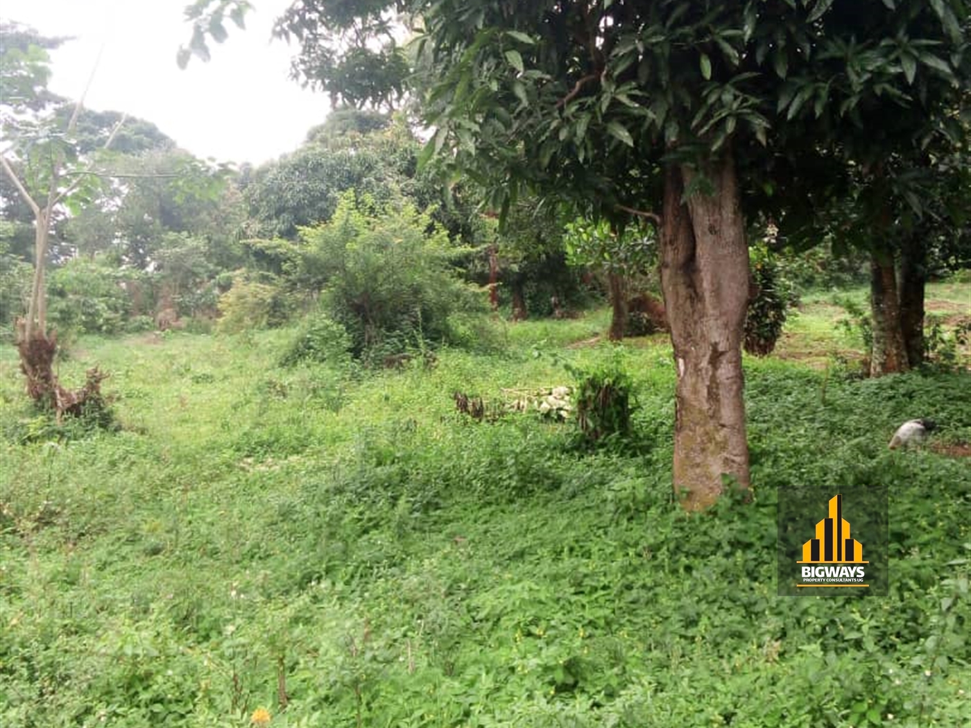 Residential Land for sale in Garuga Wakiso