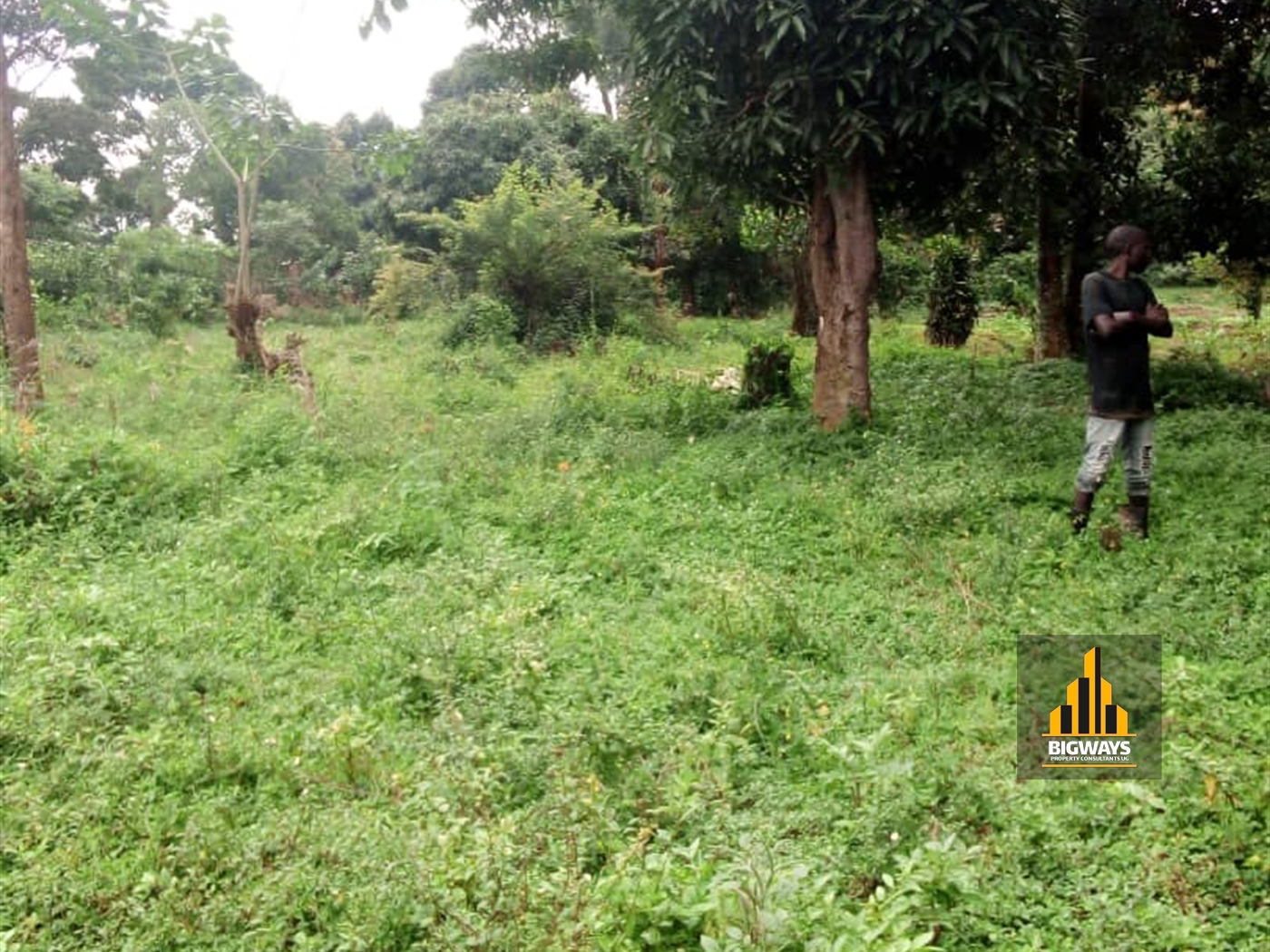 Residential Land for sale in Garuga Wakiso