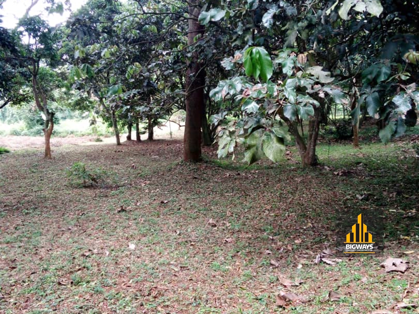 Residential Land for sale in Garuga Wakiso