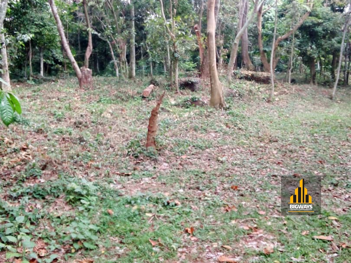 Residential Land for sale in Garuga Wakiso