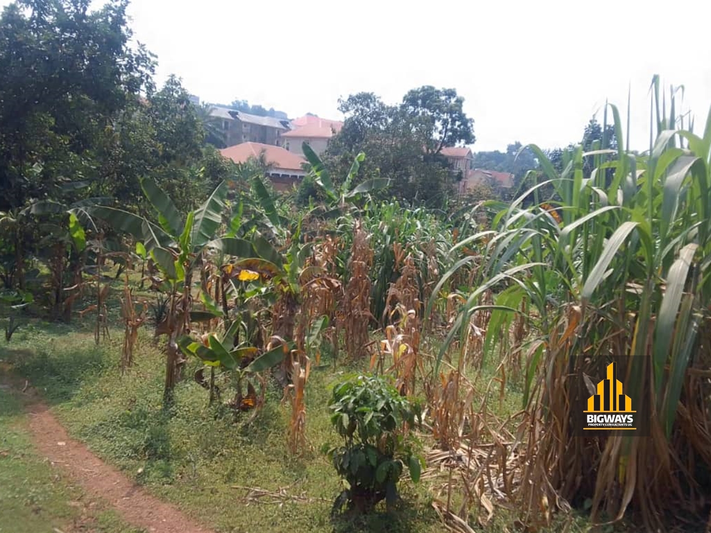 Residential Land for sale in Lungujja Kampala