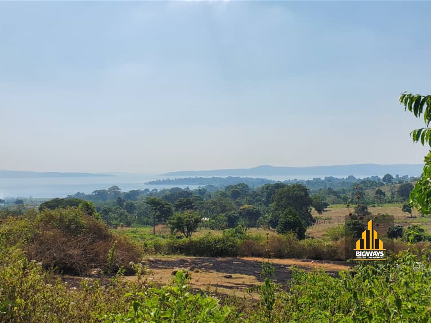 Agricultural Land for sale in Buwooya Mukono