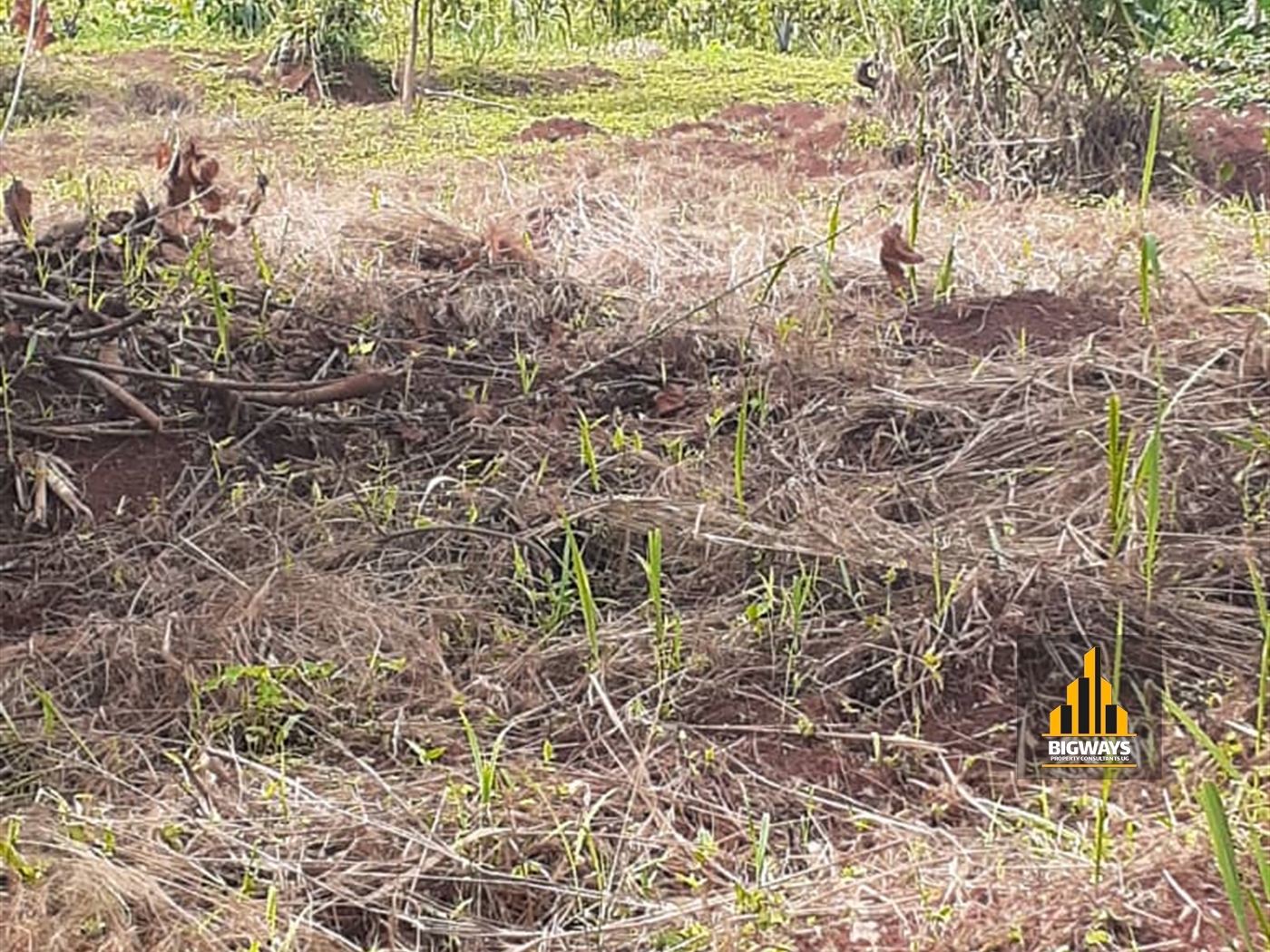 Residential Land for sale in Bwebajja Wakiso