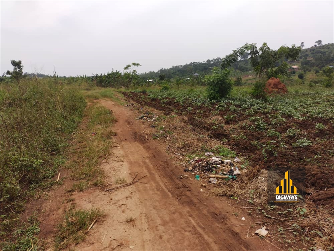 Agricultural Land for sale in Matugga Wakiso