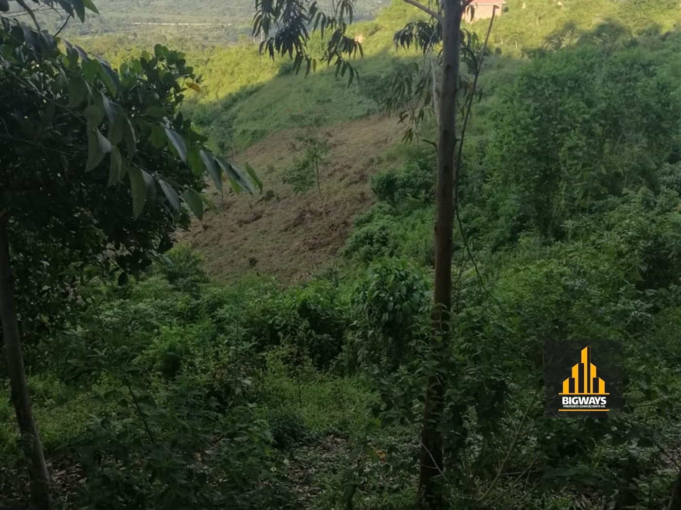 Agricultural Land for sale in Gobelo Wakiso