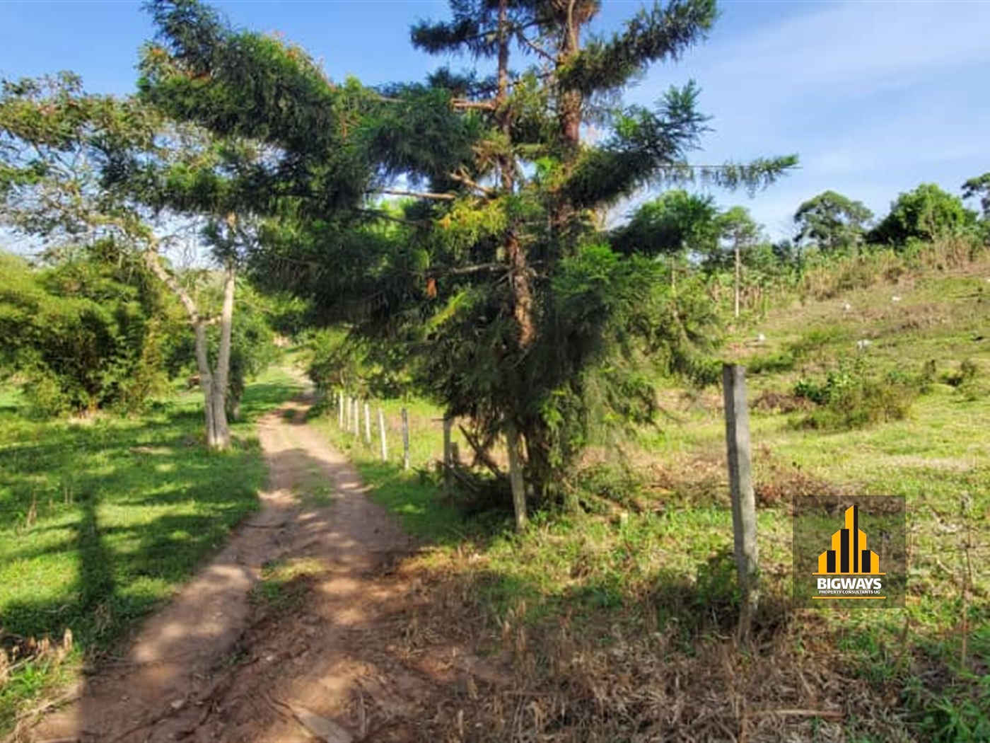 Agricultural Land for sale in Matugga Wakiso