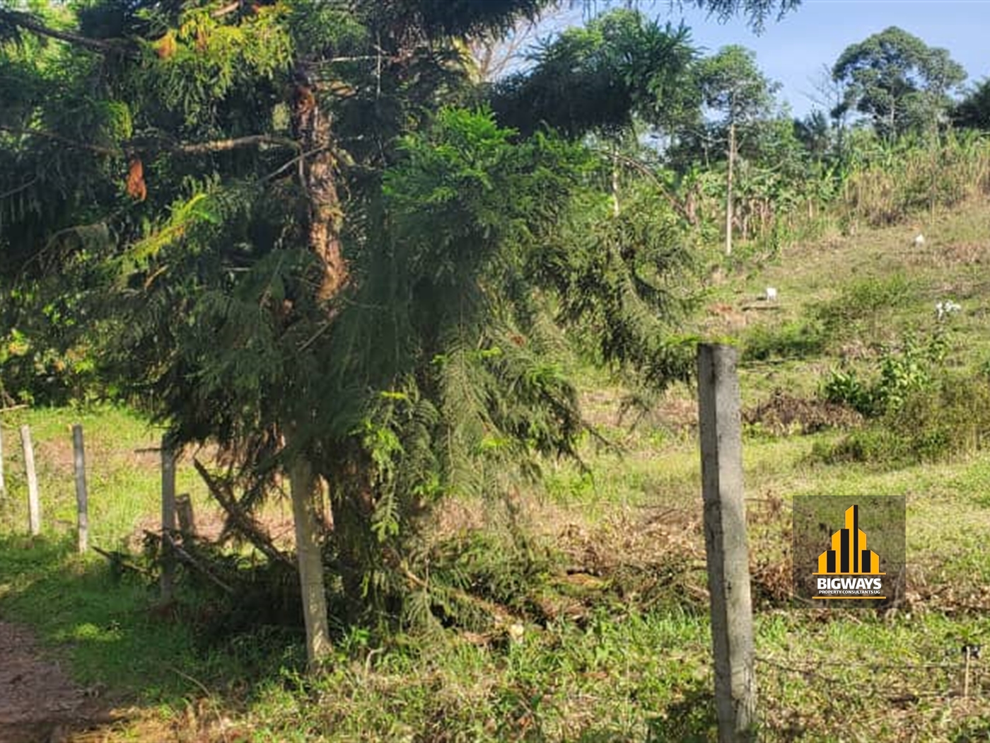 Agricultural Land for sale in Matugga Wakiso