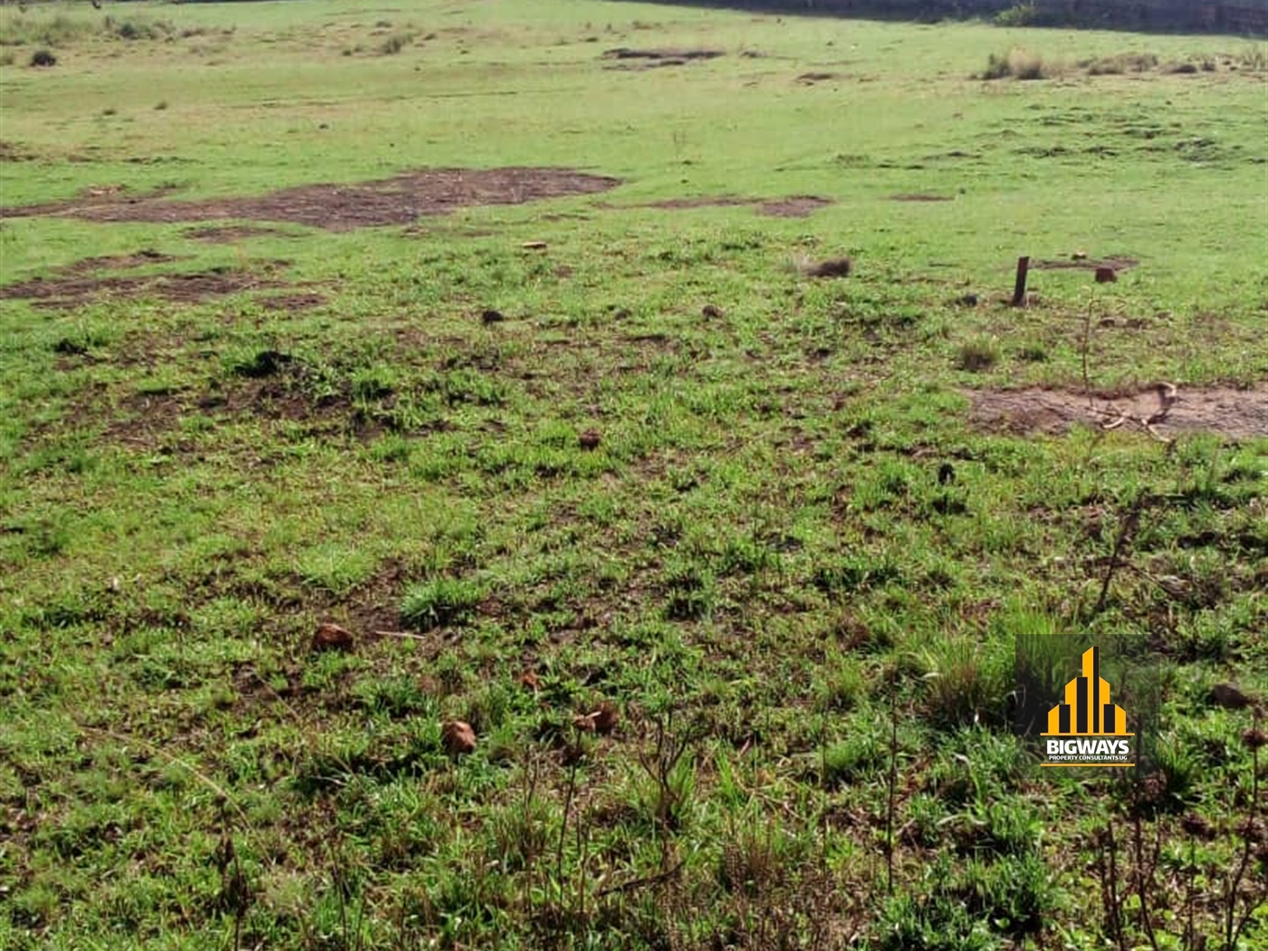 Residential Land for sale in Kawuku Wakiso