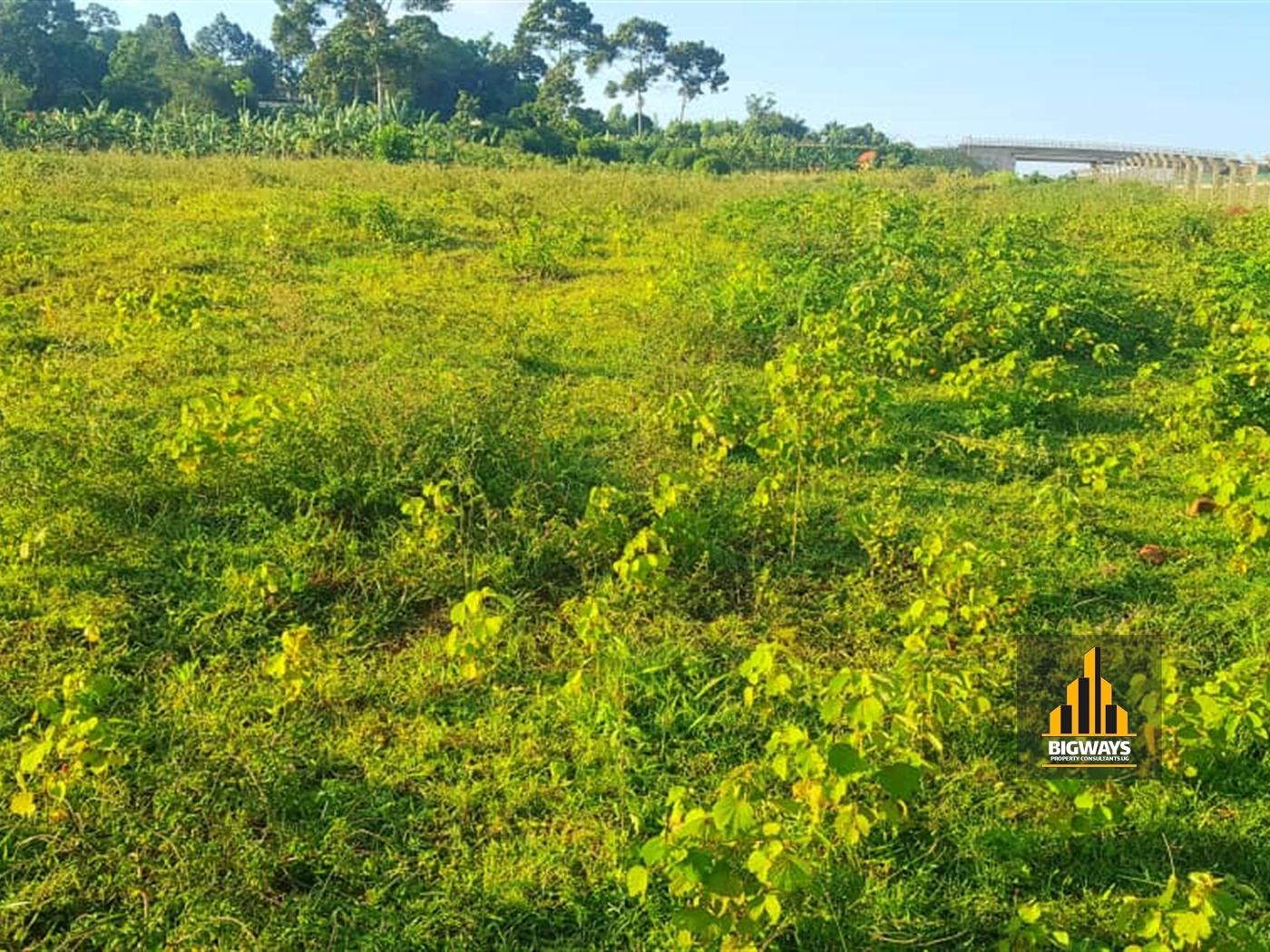 Residential Land for sale in Kitende Wakiso