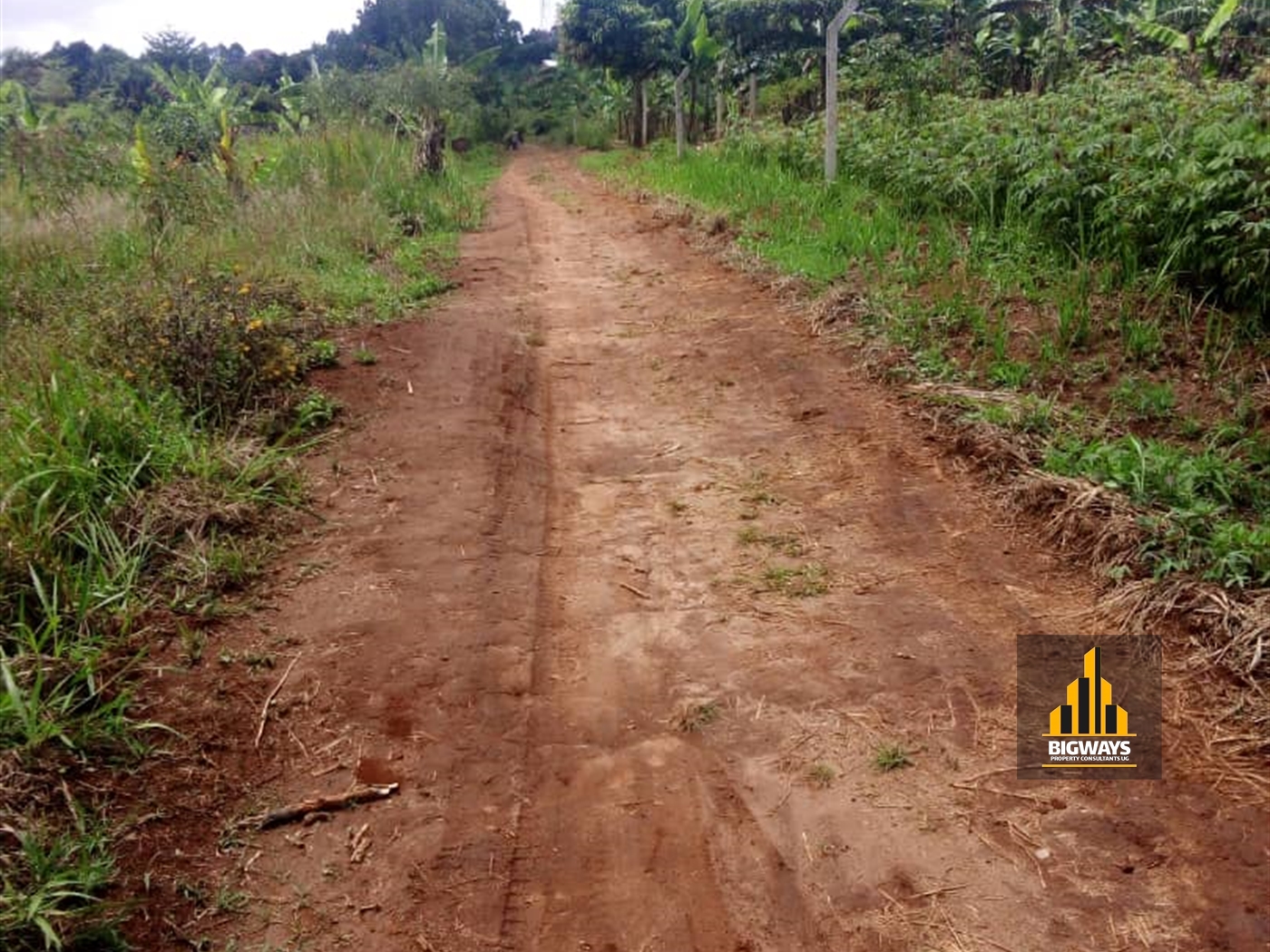 Agricultural Land for sale in Ssisa Wakiso