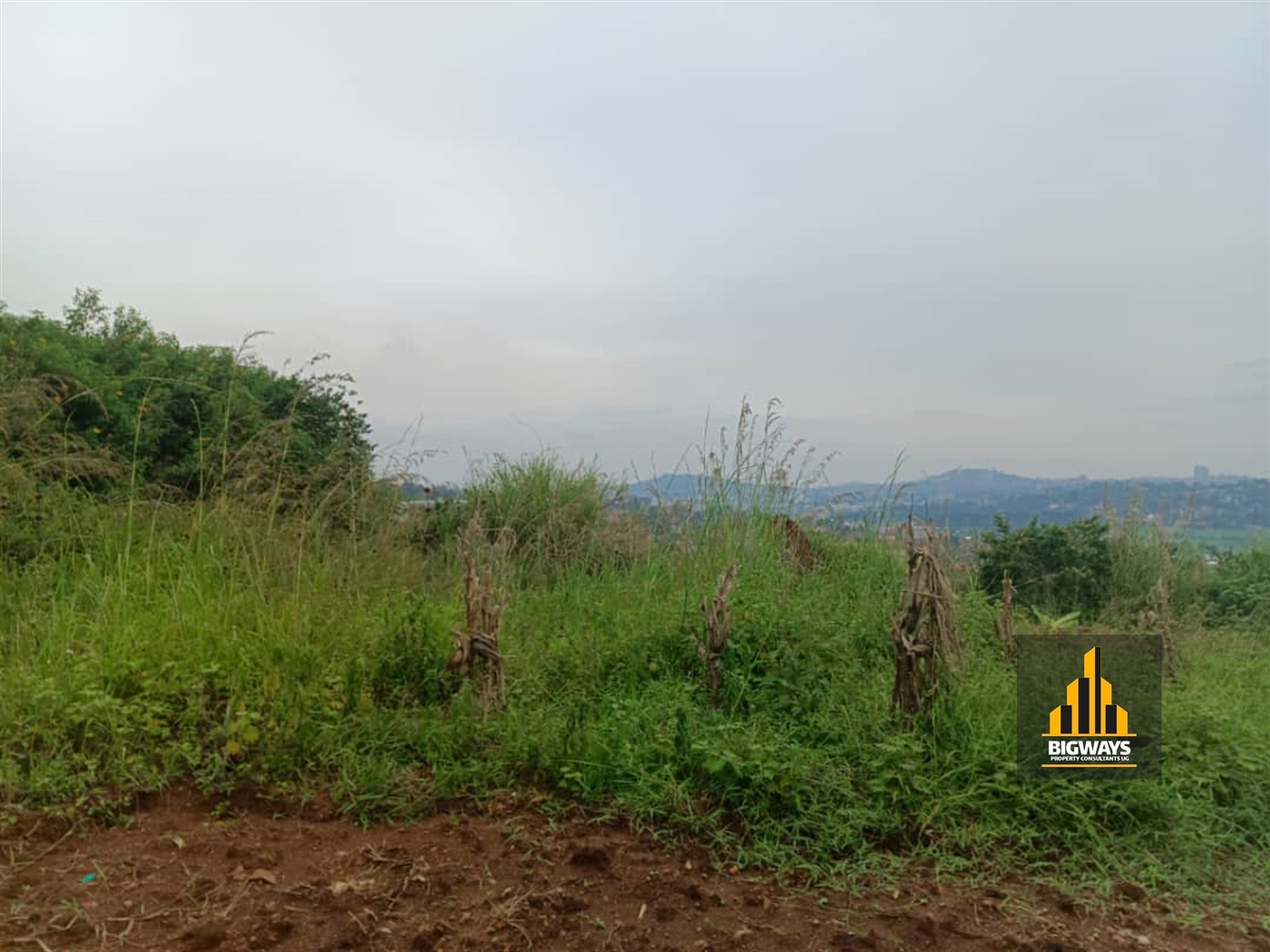 Residential Land for sale in Muyenga Kampala