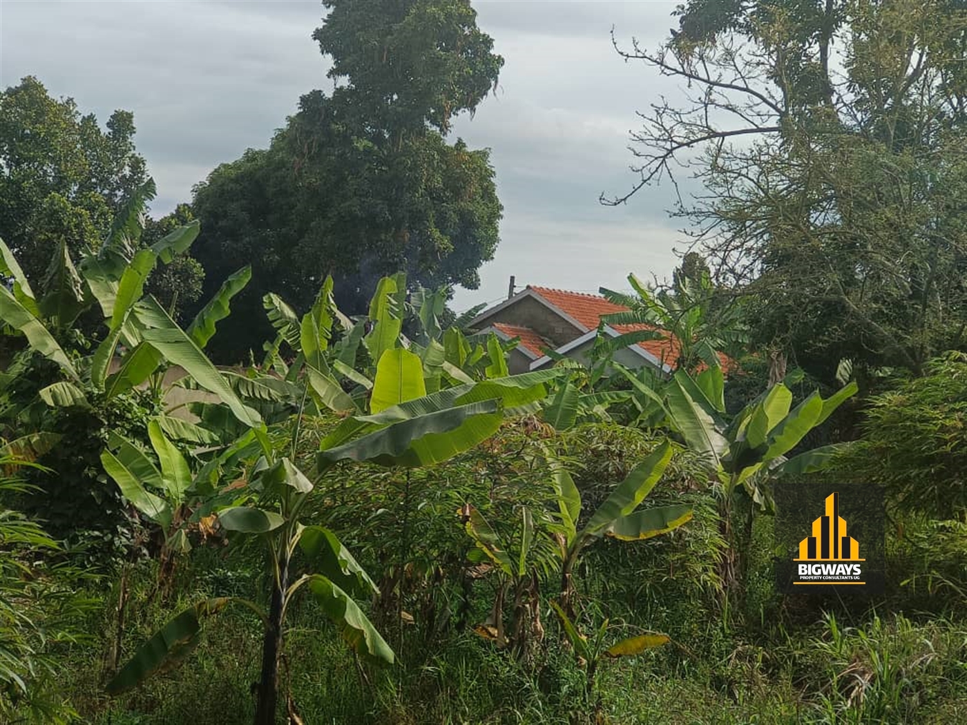 Residential Land for sale in Muyenga Kampala