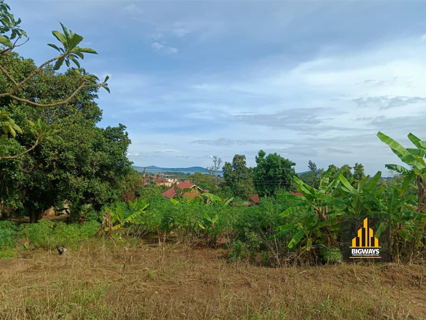 Residential Land for sale in Muyenga Kampala