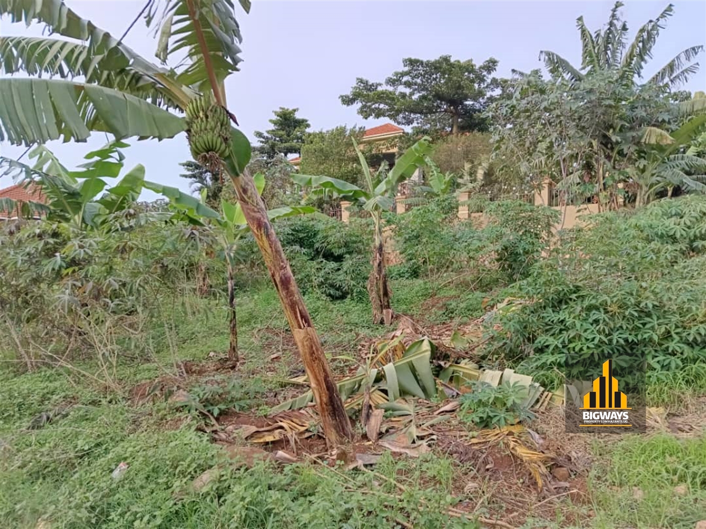 Residential Land for sale in Naalya Wakiso