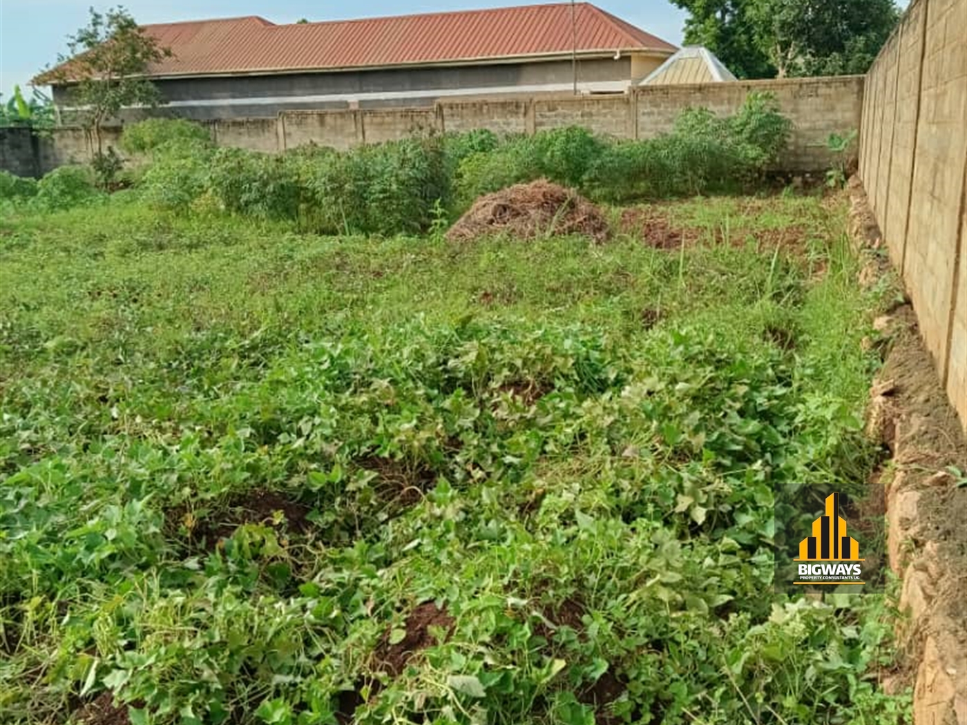 Residential Land for sale in Nkumba Wakiso