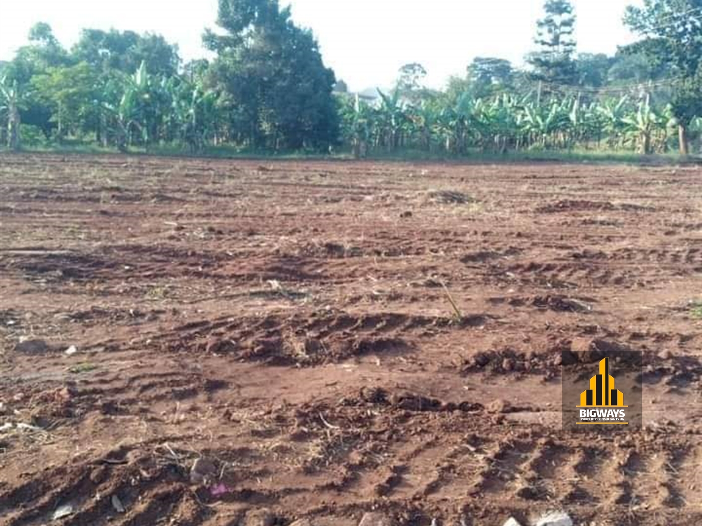 Commercial Land for sale in Namulanda Wakiso