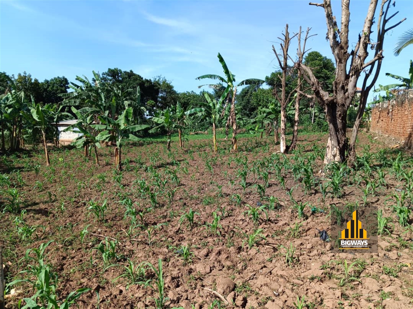 Residential Land for sale in Kyanja Kampala