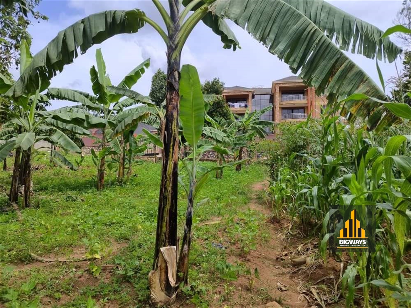 Residential Land for sale in Bweyogerere Wakiso