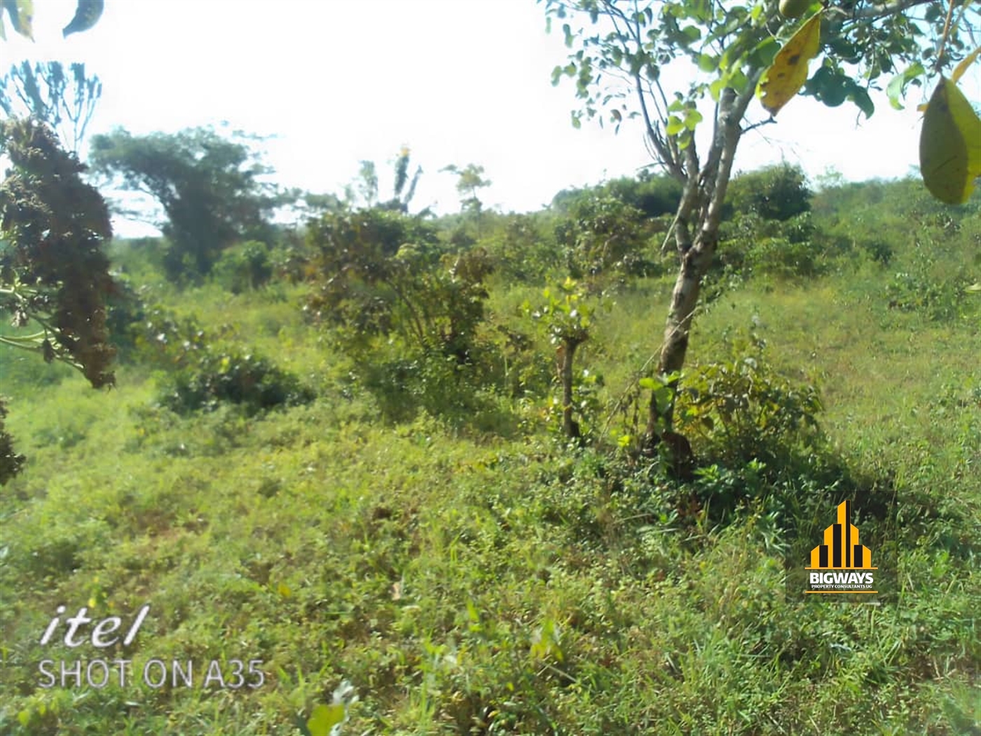 Agricultural Land for sale in Kakooge Nakasongola