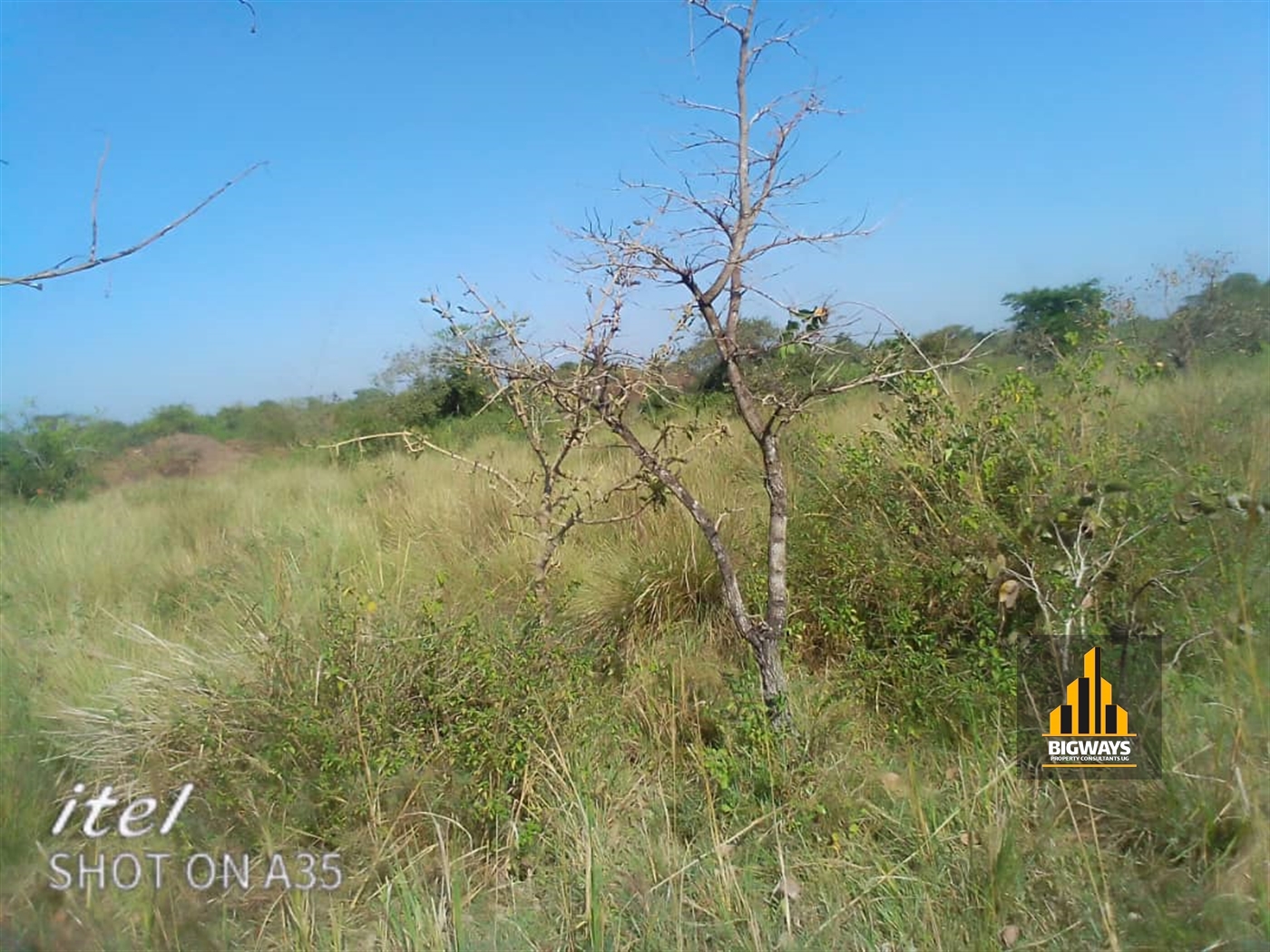 Agricultural Land for sale in Kakooge Nakasongola