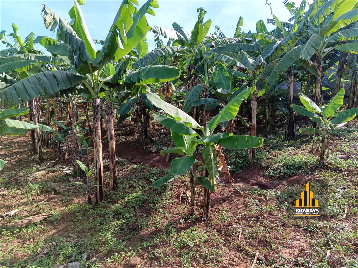 Residential Land for sale in Kyanja Kampala